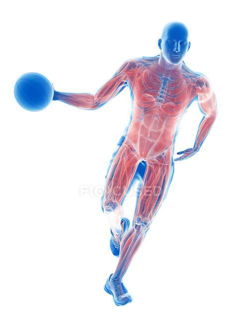 Maschio muscoli giocatore di basket durante la corsa con la palla, illustrazione del computer
. — Foto stock
