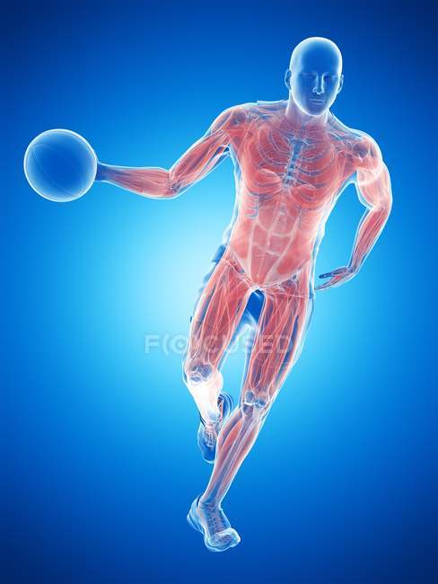 Músculos masculinos del jugador de baloncesto mientras que funciona con bola, ilustración del ordenador . - foto de stock