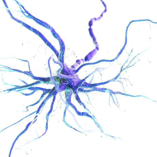 Фіолетова кольорова нервова клітина на білому тлі, цифрова ілюстрація. — стокове фото