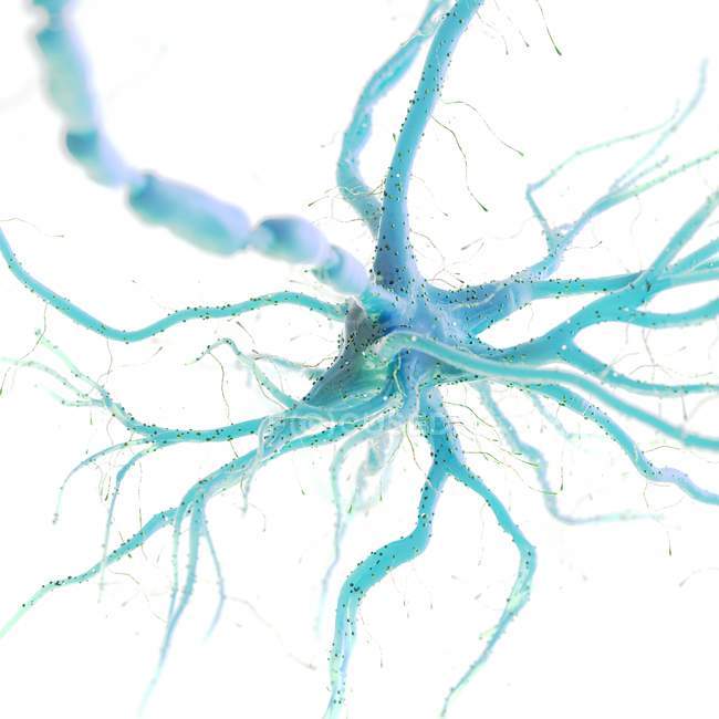 Blue colored nerve cell on white background, digital illustration. — стокове фото