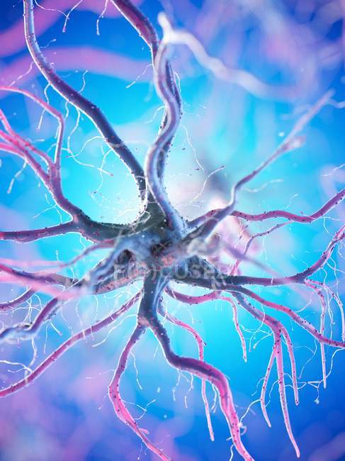 Нервова клітина з багатьма дендритами на синьому фоні, цифрова ілюстрація. — стокове фото