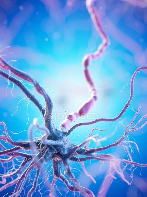 Nerve cell with pink colored axon on blue background, digital illustration. — Stock Photo