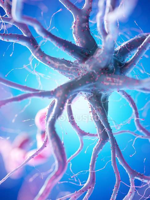 Cellule nerveuse avec axone rose sur fond bleu, illustration numérique
. — Photo de stock