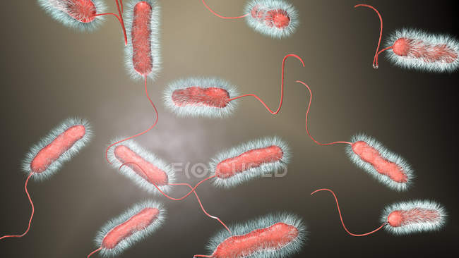 Digital illustration of Legionella pneumophila bacteria, cause of Legionnaires disease. — стокове фото
