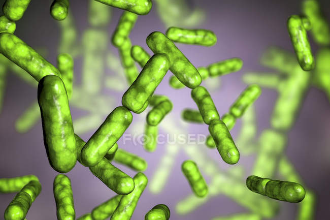 Batteri aerobici gram-positivi a forma di asta probiotica di colore verde Bacillus clausii che ripristinano la microflora intestinale
. — Foto stock