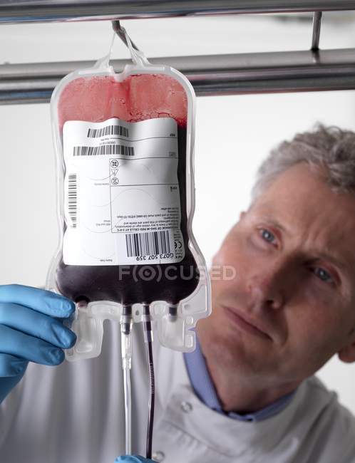 Maturo medico di sesso maschile che elabora il sangue del donatore nelle borse
. — Foto stock