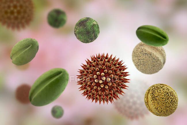 Grãos de pólen de diferentes plantas, ilustração computacional — Fotografia de Stock