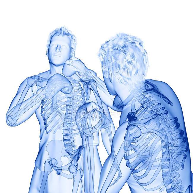 3D цифровая иллюстрация двух абстрактных мужчин с видимыми скелетами бокса на белом фоне . — стоковое фото