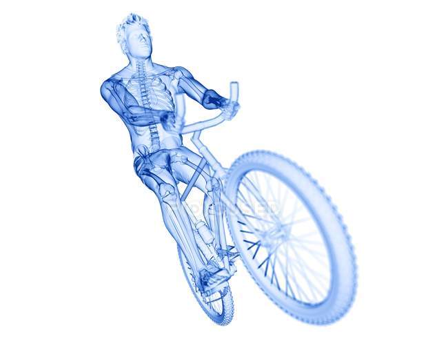Silhouette eines männlichen Radfahrers, Computerillustration. — Stockfoto