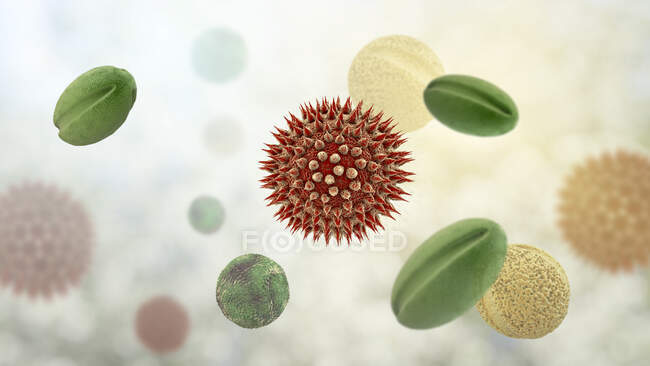 Granos de polen de diferentes plantas, ilustración por ordenador - foto de stock