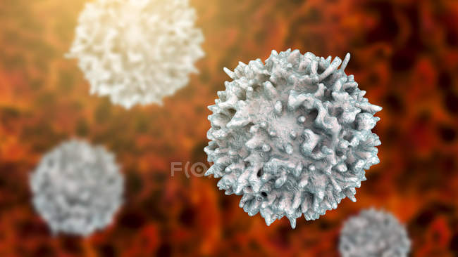 Linfocitos glóbulos blancos en el sistema linfático humano, ilustración digital . - foto de stock