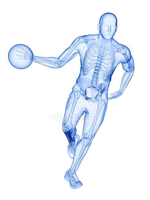 Skelett eines Basketballspielers in Aktion, Computerillustration. — Stockfoto