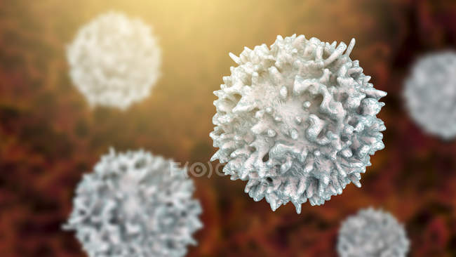 Lymphocytes white blood cells, digital illustration. — Stock Photo