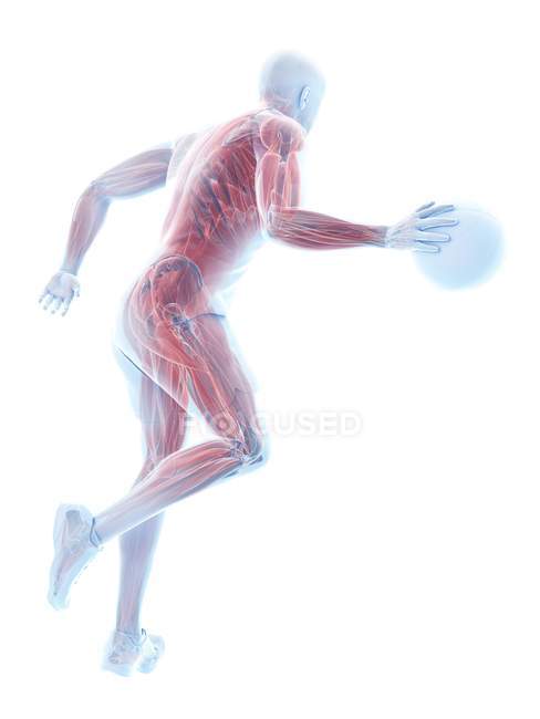 Jogador de basquete masculino músculos enquanto corre com bola, ilustração do computador . — Fotografia de Stock