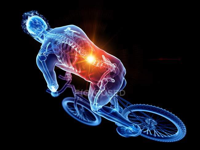 Vista de ángulo alto de la silueta ciclista masculina con dolor de espalda, ilustración digital . - foto de stock