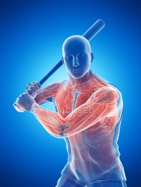 Male baseball player muscles while holding bat, computer illustration. — Stock Photo