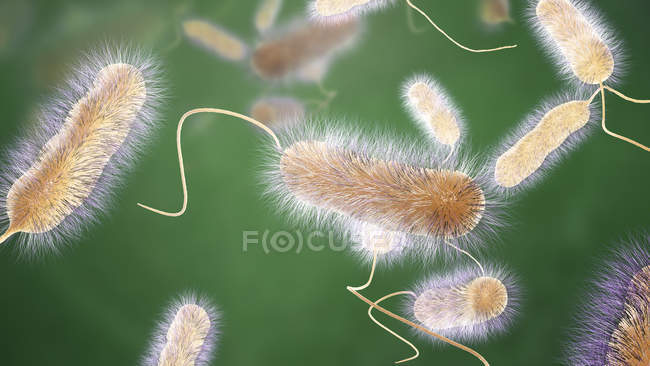 Illustration numérique de la bactérie Legionella pneumophila, responsable de la maladie des légionnaires
. — Photo de stock