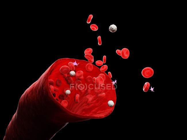 Абстрактні кровоносні судини з білими і червоними кров'яними клітинами, цифрова ілюстрація. — стокове фото