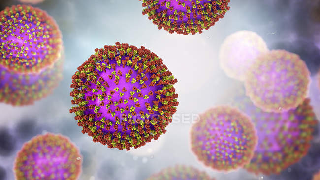 Partículas de vírus do sarampo, ilustração digital . — Fotografia de Stock