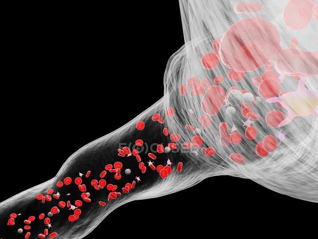 Abstrakte Blutgefäße mit weißen und roten Blutkörperchen, digitale Illustration. — Stockfoto