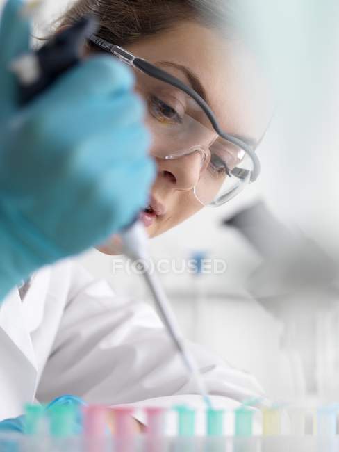 Muestra de pipeteo científico femenino en tubos de microcentrifugación listos para análisis automatizados mientras investigamos biotecnología
. - foto de stock