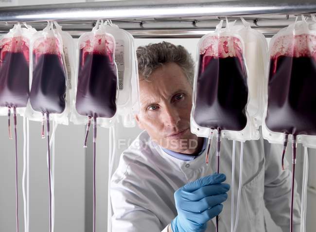 Reifer männlicher Arzt verarbeitet Spenderblut in Säcken. — Stockfoto