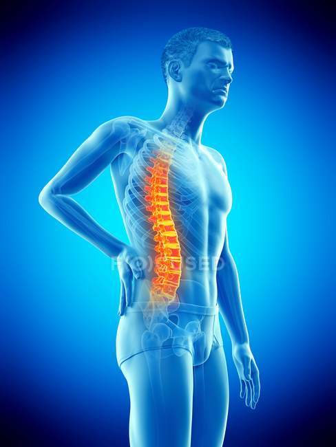 Vue latérale du corps masculin avec maux de dos sur fond bleu, illustration conceptuelle . — Photo de stock