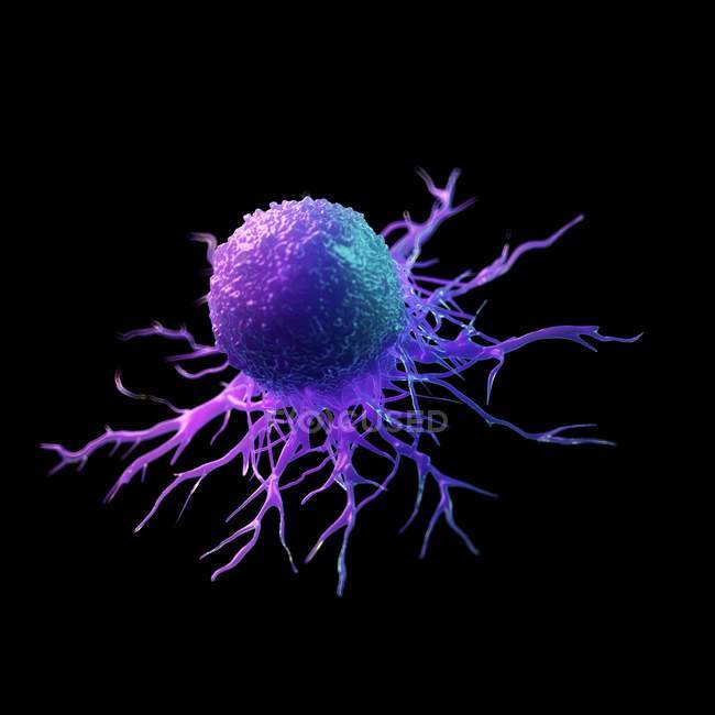 Célula de câncer de cor roxa abstrata em fundo preto, ilustração digital . — Fotografia de Stock