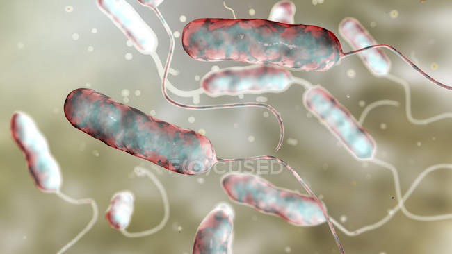 Ilustração digital de bactérias Legionella pneumophila, causa da doença de Legionários
. — Fotografia de Stock