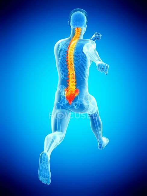 Vue arrière du corps du coureur masculin avec maux de dos en action, illustration conceptuelle . — Photo de stock