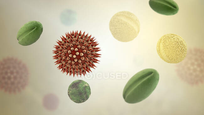 Granos de polen de diferentes plantas, ilustración por ordenador - foto de stock