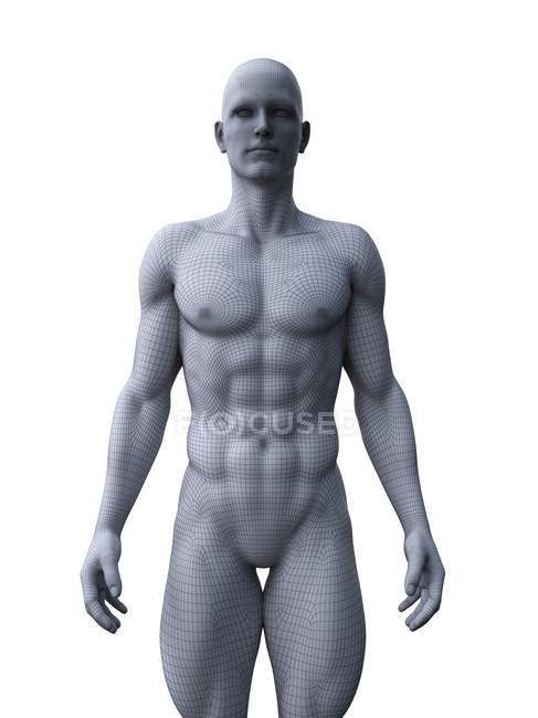 Абстрактный силуэт мускулистого человека, цифровая иллюстрация . — стоковое фото