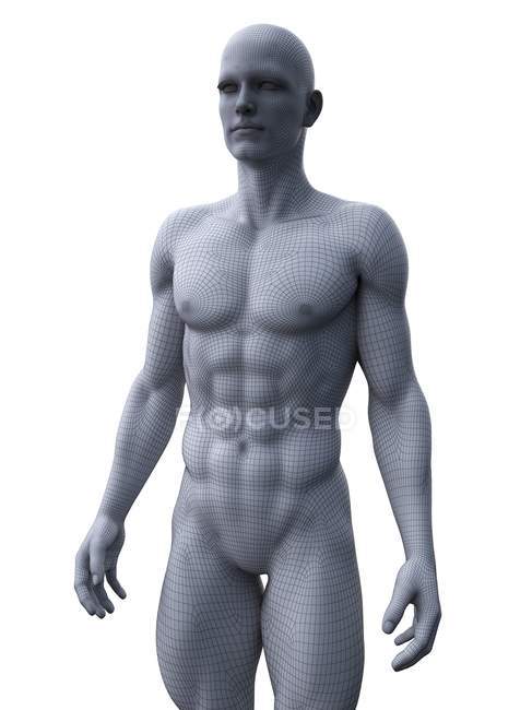 Абстрактний силует м'язової людини, цифрова ілюстрація . — стокове фото