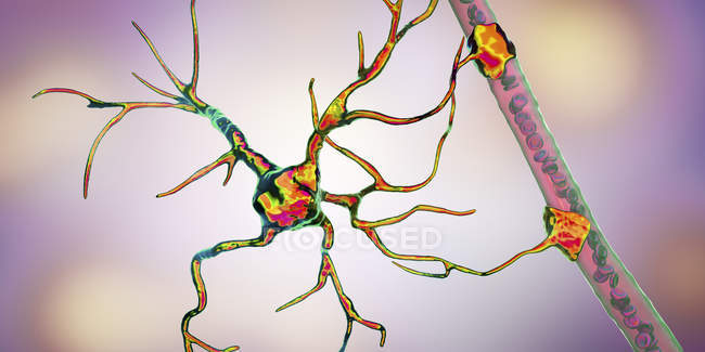 Astrozyten-Gehirn-Gliazelle, die neuronale Zellen mit Blutgefäßen verbindet, digitale Illustration. — Stockfoto