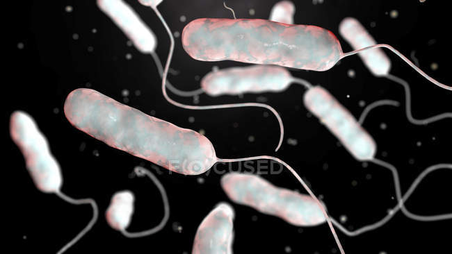 Digital illustration of Legionella pneumophila bacteria, cause of Legionnaires disease. — стокове фото