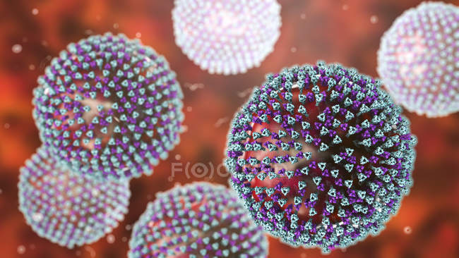 Partículas del virus del sarampión, ilustración digital
. - foto de stock