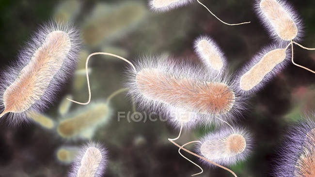 Ilustração digital de bactérias Legionella pneumophila, causa da doença de Legionários . — Fotografia de Stock