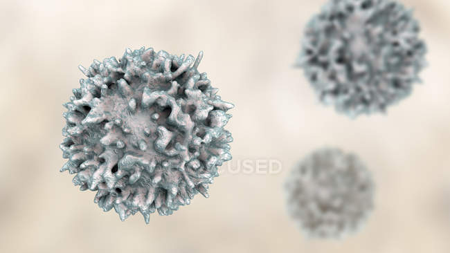 Лимфоциты белые кровяные тельца, цифровая иллюстрация . — стоковое фото