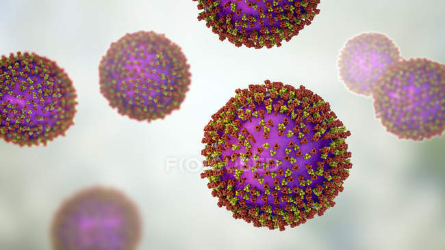Morbillo particelle virali, illustrazione digitale . — Foto stock