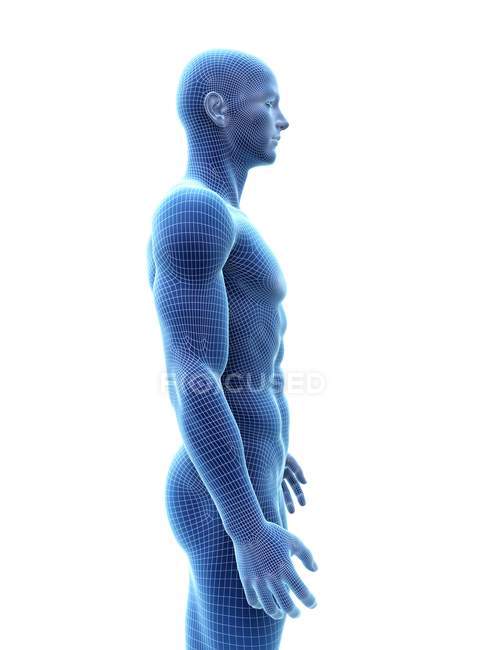 Abstract silhouette of muscular man, digital illustration. — Stock Photo