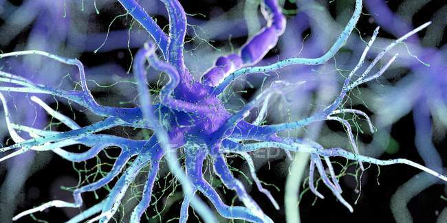 Фіолетова кольорова нервова клітина на темному фоні, цифрова ілюстрація. — стокове фото