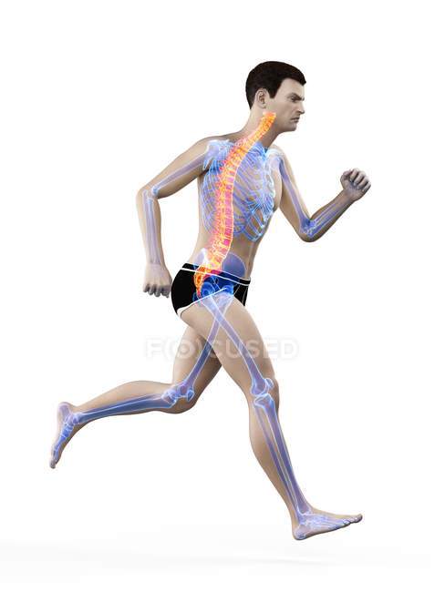 Seitenansicht des männlichen Läuferkörpers mit Rückenschmerzen in Aktion, konzeptionelle Illustration. — Stockfoto