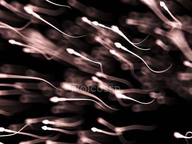 Spermien, abstrakte digitale Illustration. — Stockfoto