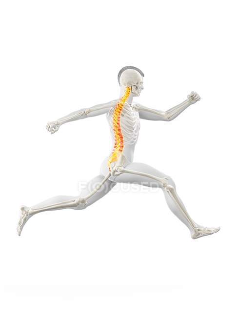 Vista lateral del cuerpo del corredor masculino con dolor de espalda en acción, ilustración conceptual . - foto de stock
