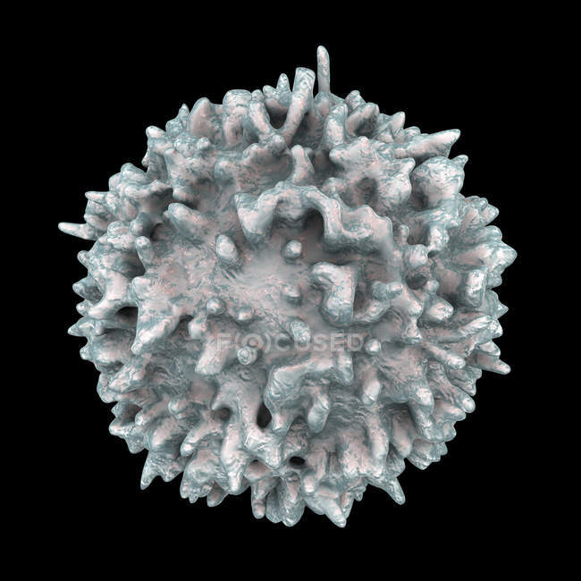 Linfociti globuli bianchi nel sistema linfatico umano, illustrazione digitale . — Foto stock