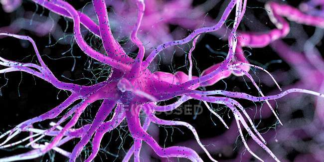 Purple colored nerve cell on dark background, digital illustration. — Stock Photo