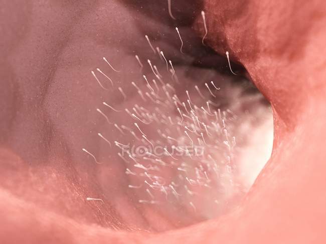 Сперматозоиды, абстрактная цифровая иллюстрация . — стоковое фото