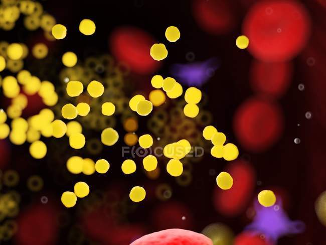 Fat in blood cells blocking blood vessel, digital illustration. — Stock Photo