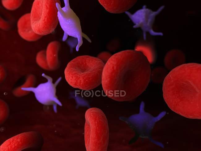 Plaquettes dans le sang humain, illustration par ordinateur . — Photo de stock