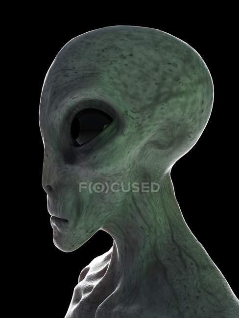 Cabeza alienígena gris sobre fondo negro, ilustración digital
. - foto de stock